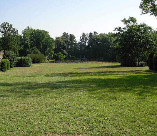 Cure per un prato perfetto 1121 0 Cure per un prato perfetto.JPG